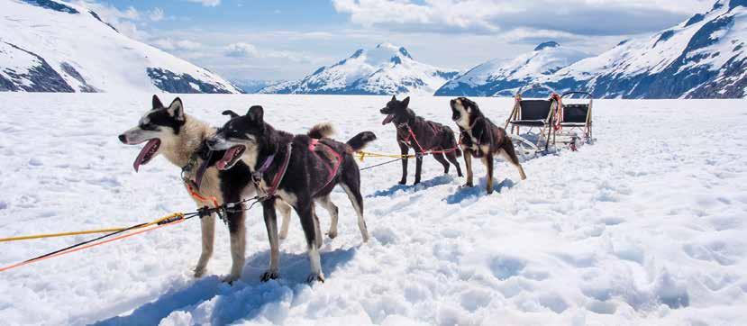 Unbridled Landscapes UNBELIEVABLE VOYAGES Dogsled racing, Skagway AZAMARA QUEST 2019 VOYAGES Alaska Intensive 10 NIGHTS 25 MAY, 22 JUNE, 20 JULY, 17 AUGUST 2019 Alaska Showcase 10 NIGHTS 4 JUNE, 2 &