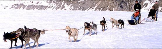 . Skagway - Helicopter Dogsled Tour or Helicopter Glacier Walk Wednesday July 29 (Various times 2 ½ Hrs. or 2 hrs.) (Very Limited Space - Reserve Now) These tours are the ultimate Alaskan experiences.