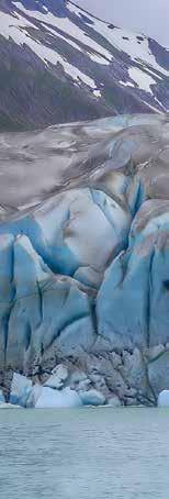 Margerie Glacier P a c i f GLACIER BAY NATIONAL PARK Inian Islands i c O c e a n Glacier Bay Juneau Tracy Arm Fjord BRITISH ALASKA COLUMBIA Frederick Sound Sitka CANADA U NITED S TATES Thorne Bay