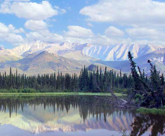 Dear Texas Ex: Arctic-blue glaciers, towering mountains, untouched coastlines, abundant wildlife these wondrous sights will unfold around you on this exceptional Five-Star cruise of Alaska s glaciers