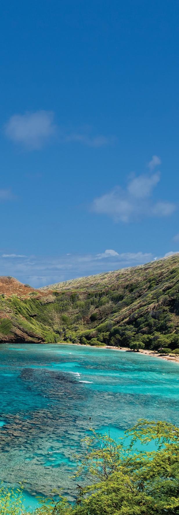 4-DAY PRE-CRUISE ADD-ON O`AHU EXPLORER PRIDE OF AMERICA O`ahu's North Shore HISTORIC AND BEAUTIFUL ISLAND OF O`AHU 4-day Pre-Cruise O`ahu Land Tour 7-day Hawai`i