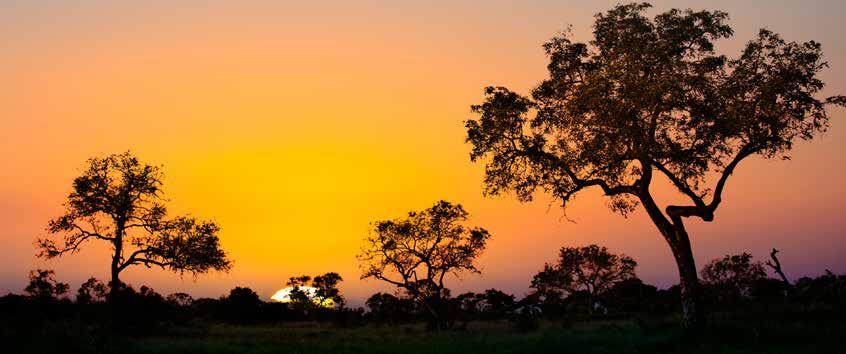 Southern Africa, like all of Africa, is a land of tremendous contrast, as evidenced by its various ecosystems, wildlife and cultures.