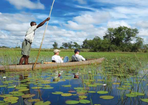 AFRICA Glide quietly, sighting crocs and hippos on a mokoro ride in the Okavango Delta Observe one of Africa s largest concentrations of elephants up close in Chobe National Park, where as many as