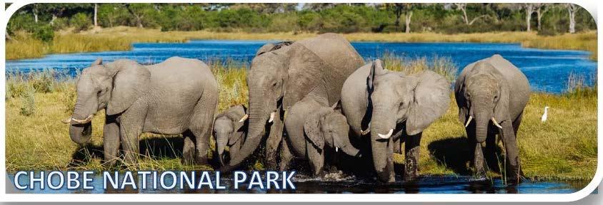 Day 5 Johannesburg to Chobe 31 January 2019 Breakfast & Check Out 09h00 Guests will enjoy breakfast at the hotel before checking out.