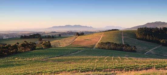 Depart to visit the beautifully restored town of Stellenbosch, founded in 1679. The center of the Cape s wine industry, Stellenbosch is renowned for its Cape Dutch architecture.