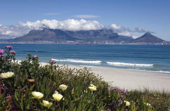 Table Mountain, Cape Town In addition to viewing compelling wildlife, explore South Africa s complex history and enjoy its diverse natural beauty. for the South African government since 1913.