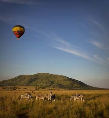 Situated in a long extinct volcano, the reserve accommodates virtually every mammal of southern Africa.