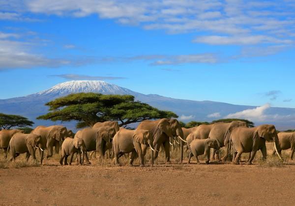 rift in the crust of the earth Tarangire National Park - home to huge herds of elephants Ngorongoro Crater and the Ngorongoro Highlands Serengeti - Tanzania's oldest and most popular national park