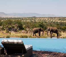 CLOCKWISE FROM ABOVE: Giraffes are a frequent sight; a pool with a view at the Four Seasons Serengeti; forget the Big Five and track gorillas in Rwanda; sunset over Addo Elephant Park in South