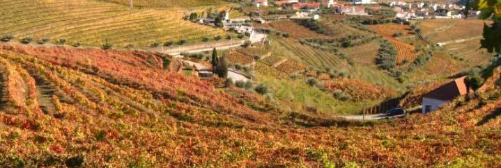 The programme starts at the heart of the Douro wine region, an UNESCO World Heritage Site.