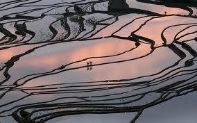Yuanyang Rice Terraces, located on the southern slopes of Ailao Mountain in Yuanyang County (part of Honghe Hani Autonomous Prefecture)