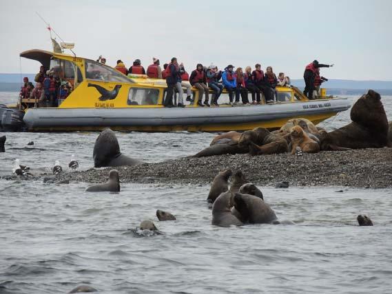 Spend the afternoon resting or visiting Punta Arenas. Magellanic Penguins on Magdalena Island and Sea Lions on Marta Island Mon, November 12 Visit Islas Magdalena and Marta.