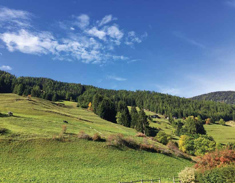 Alpine views Relais de Dranse Chalet frilingue owned