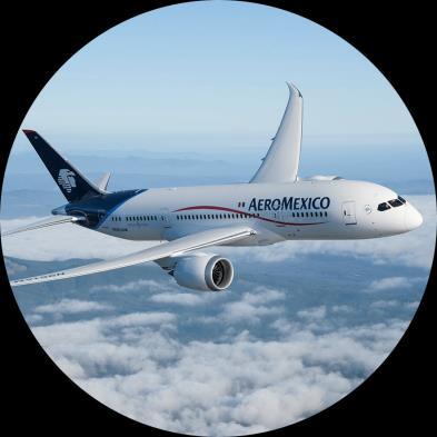 Aeromexico s business model for sustainable long term success