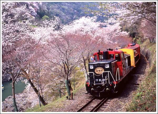 Arashiyama (Lunch,Stroll) 10:45~12:40 Sagano Romantic Train Sagano Kameoka 13:07dep. 13:30arr.