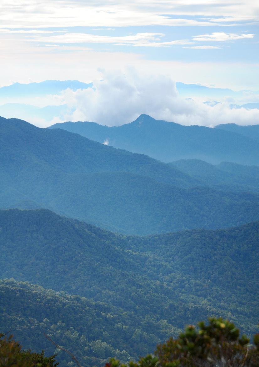 Banjaran-Titiwangsa This landscape, which includes Peninsular Malaysia s longest mountain range and largest national park, supports the country s largest tiger population.