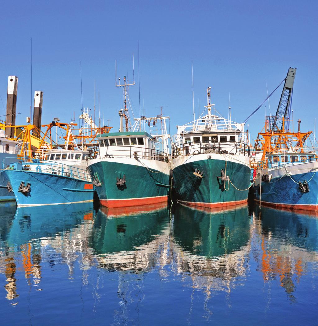 World-leading coatings for improved efficiency Offering a full range of proven coatings and technical service for fishing vessels, Hempel helps you reduce fuel bills, extend maintenance cycles and