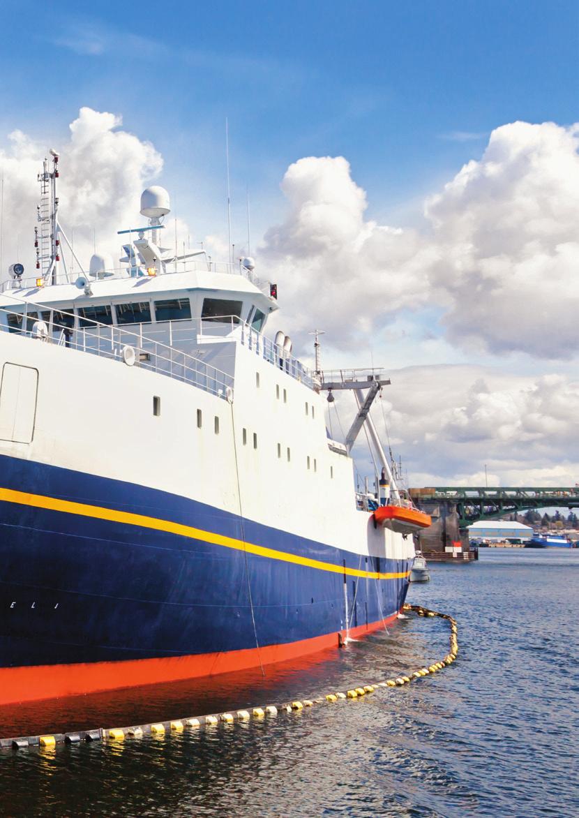 Reducing hull damage for a longer lasting vessel When fishing company Polar Seafood needed a robust coating to reduce hull damage and associated maintenance costs, it turned to Hempadur