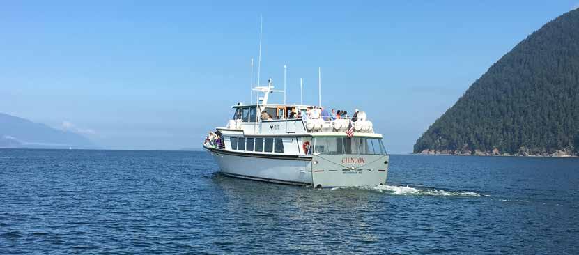 Private Cruise via the Chinook - San Juan Islands, WA Day 4 Wildlife Cruise Today we ll depart Victoria in style aboard the motor yacht Chinook.