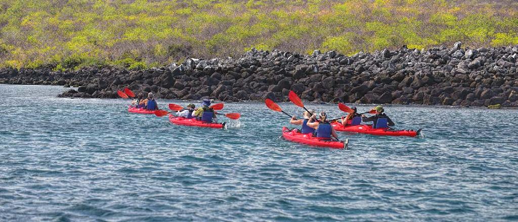 GALAPAGOS ADVENTURES Effort: Moderate. No experience necessary. Activities: Sea Kayaking, Hiking, Mountain Biking, Snorkeling, and Wildlife Interaction.