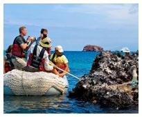 Your zodiac ride starts with a visit to the Marielas islets where there is the largest and most important penguin colony in the Galapagos Islands.