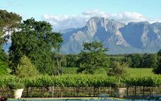 Page 10 Stellenbosch A blend of historical architecture, student life, epicurean delights and oak-lined avenues, Stellenbosch is a picturesque