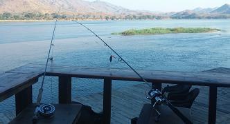 The area is known to deliver exciting tigerfishing for spin, fly and conventional anglers, there are quite a few species of fish which can be lured which include; Tigerfish, Vundu, Chessa, Nkupi,