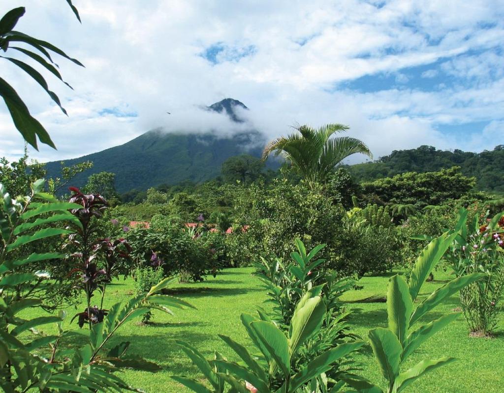 Washington County Chamber of Commerce presents Tropical Costa Rica with Optional 3-Night Jungle Adventure Post Tour Extension February 9 17, 2015 Chamber Members: