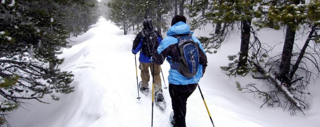 Snow Shoeing Take along a guide or venture out with your compass as you experience one of the best workouts around, while enjoying the beautiful