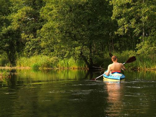 Canoeing & Kayaking Experience the areas natural beauty on the water!