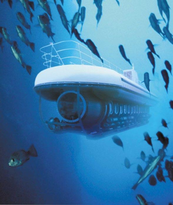 ATLANTIS SUBMARINE We invite you to experience why Cozumel is one of the top diving destinations in the world. Go 100 ft.