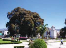 Visit the Regional Museum of Oaxaca, the city s most important museum, which houses historical objects and exhibits of Monte Alban, the Spanish conquest of Mexico, and