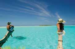 Includes: 2 tank dive open water or discover scuba dive Use of scuba equipment Light refreshments Return transfers from Aitutaki accommodation Operator: Bubbles Below Departs: Mon to Sat from