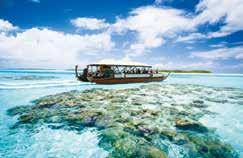 PRICE: ADULT 2 tank open water dive $216 PADI discover scuba dive $267 Snorkelling Safari Enjoy a great day out on Aitutaki s beautiful lagoon visiting Akaiami, One Foot, Honeymoon and Maina islands.