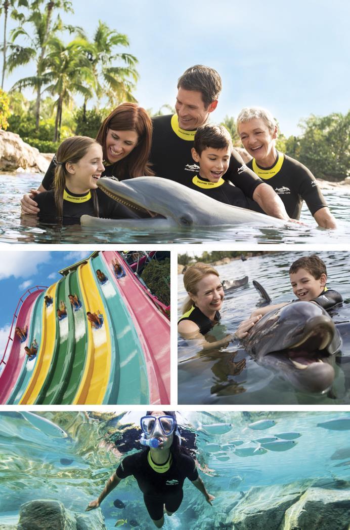 DISCOVERY COVE ULTIMATE PACKAGE not only does pre-booking guarantee you entry to this very popular attraction that sells out months in advance during peak seasons, but you can also enjoy FREE parking