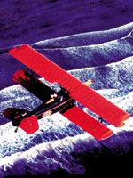 Gentle or thrilling coastal biplane rides for two, you-fly-it air combat,
