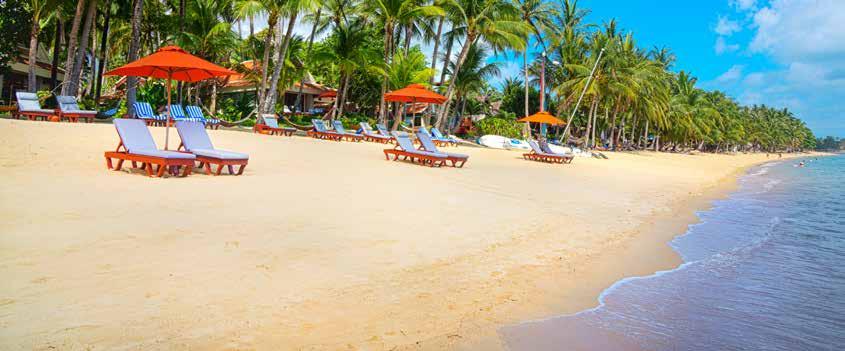 INCLUDES ON ALL PACKAGES Koh Samui CHABA SAMUI RESORT HGG INCLUDES: Return economy airfares via Bangkok to Koh Samui flying THAI~ 8 nights in a Lake Wing Room Full breakfast daily resort credit #