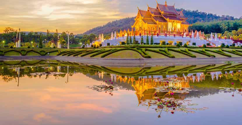 8 DAYS/7 NIGHTS Learn the trick behind making palm sugar, slurp noodles alongside the locals in Bangkok, whip up a jungle curry in Kanchanaburi, enjoy home cooking with a family in Chiang Mai, sit