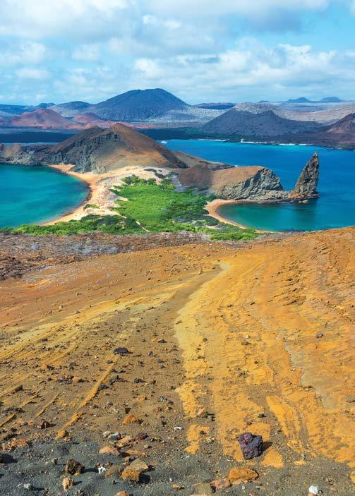 FEATURED TRIP The Galapagos Islands DATES: October 18-25 TOUR OPERATOR: Orbridge TYPE: Land/Cruise Combo PHYSICAL ACTIVITY LEVEL: Moderately Active PRICE: Starting at $3,995 per person based on