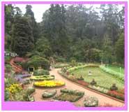 Tourist Attractions of Ooty Ooty is an ideal hill station since it offers respite from the dust and pollution of city life and much more.