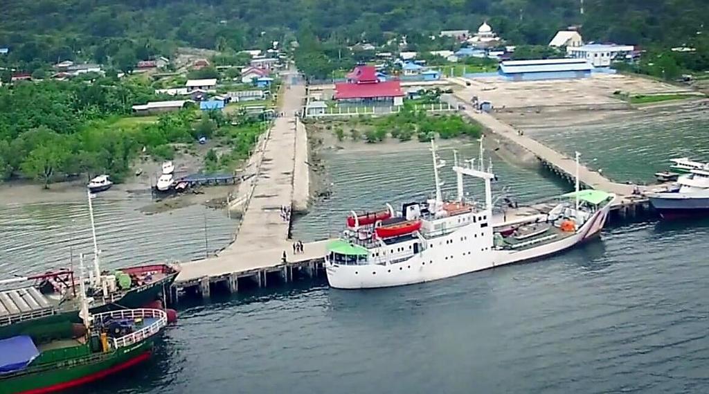 Infrastructure Development 150 new seaports have been built since 2015 100 vessels developed, 86 pioneer sea lanes served since 2015 Source: Ministry of Transportation RI,