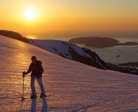 cross-country skiing n Bounty of the Arctic Ocean n Whale Safari n Evening snowshoe trip Want to add flights?