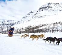 Travel across remote snow-covered Arctic plains pulled by your trusted team of huskies surrounded by incredible views of mountains and the ocean.