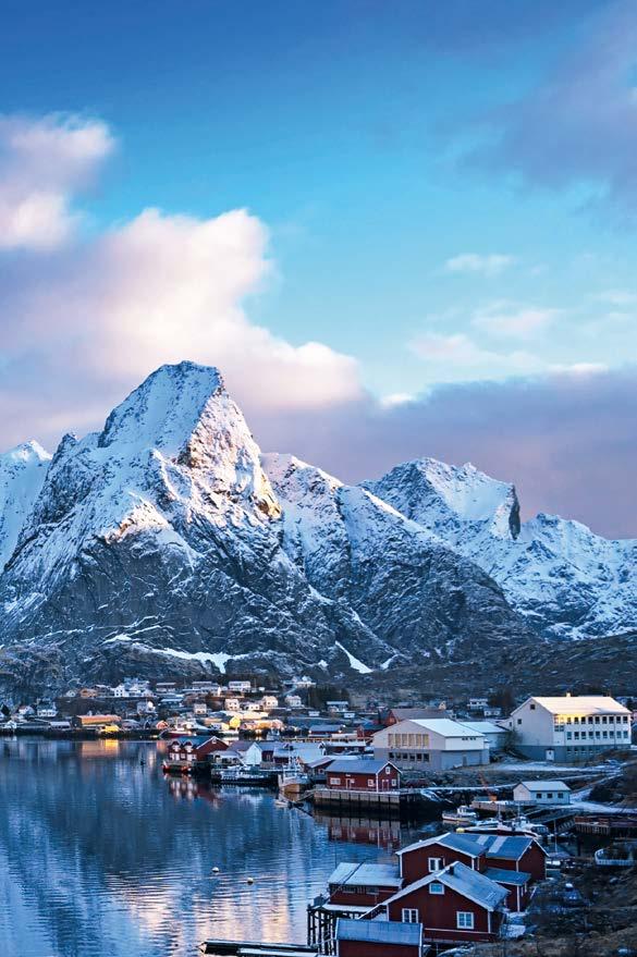 Shutterstock Special interest voyages Hurtigruten offers a selection of special themed voyages for the enthusiasts among you.