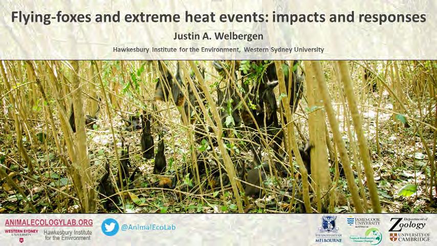 3. Vulnerability of flying-foxes to extreme heat events Investigators: Justin A.