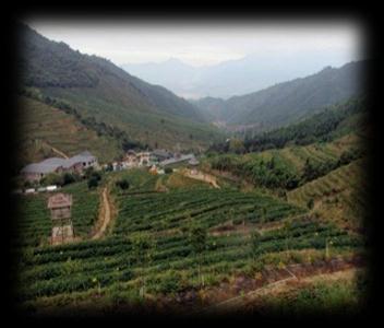 Onwards to Nangang Yao Minority Village which is built on limestone hills,