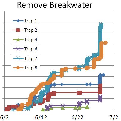 Increased transport of sediment from source S8, occurs for the Notched Breakwater alternative as compared to the Modified Breakwater Repair alternative.