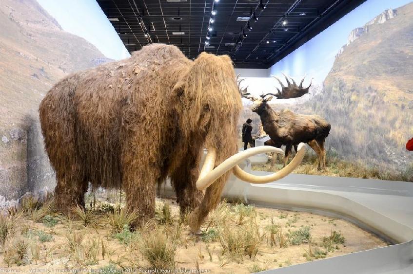 When we arrived at the place, we firstly visited the Gallery, a permanent exhibition where there are interactive touch screens, life-size woolly rhinos, mammoths, and bison from the steppes,