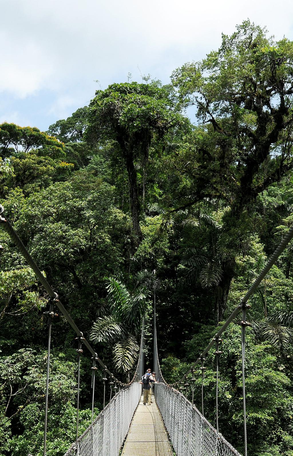 HANGING BRIDGES COSTA RICA Preserving Paradise: National Parks and Private