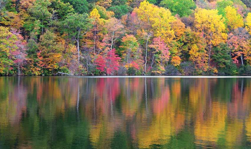 S T A N F O R D T R A V E L / S T U D Y Hudson River classic new york & fall foliage in